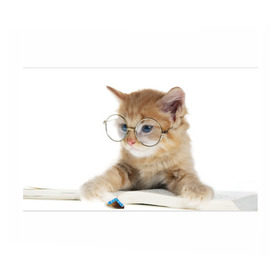 Бумага для упаковки 3D с принтом Кот в очках в Новосибирске, пластик и полированная сталь | круглая форма, металлическое крепление в виде кольца | Тематика изображения на принте: домашнее | животное | книга | кот | кот в очках | котэ | очки | прикол | умный | ученый | читает