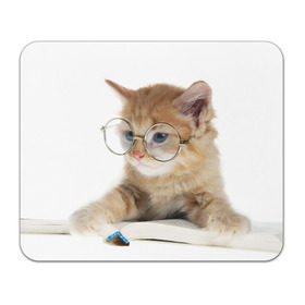 Коврик прямоугольный с принтом Кот в очках в Новосибирске, натуральный каучук | размер 230 х 185 мм; запечатка лицевой стороны | Тематика изображения на принте: домашнее | животное | книга | кот | кот в очках | котэ | очки | прикол | умный | ученый | читает