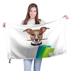 Флаг 3D с принтом Ученый пес в Новосибирске, 100% полиэстер | плотность ткани — 95 г/м2, размер — 67 х 109 см. Принт наносится с одной стороны | домашнее | животное | карандаш | книги | очки | ошейник | пес | прикол | собака в очках | умный | ученый