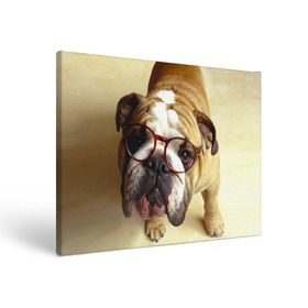 Холст прямоугольный с принтом Бульдог в очках в Новосибирске, 100% ПВХ |  | бульдог в очках | домашнее | животное | очки | пес | прикол | собака | умный | ученый