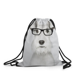 Рюкзак-мешок 3D с принтом Собака в очках в Новосибирске, 100% полиэстер | плотность ткани — 200 г/м2, размер — 35 х 45 см; лямки — толстые шнурки, застежка на шнуровке, без карманов и подкладки | белый | домашнее | животное | очки | пес | прикол | собака в очках | умный | ученый | эрдельтерьер