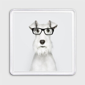Магнит 55*55 с принтом Собака в очках в Новосибирске, Пластик | Размер: 65*65 мм; Размер печати: 55*55 мм | Тематика изображения на принте: белый | домашнее | животное | очки | пес | прикол | собака в очках | умный | ученый | эрдельтерьер