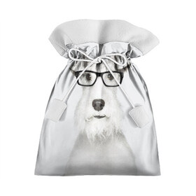 Подарочный 3D мешок с принтом Собака в очках в Новосибирске, 100% полиэстер | Размер: 29*39 см | Тематика изображения на принте: белый | домашнее | животное | очки | пес | прикол | собака в очках | умный | ученый | эрдельтерьер