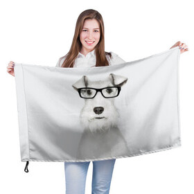 Флаг 3D с принтом Собака в очках в Новосибирске, 100% полиэстер | плотность ткани — 95 г/м2, размер — 67 х 109 см. Принт наносится с одной стороны | белый | домашнее | животное | очки | пес | прикол | собака в очках | умный | ученый | эрдельтерьер