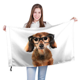 Флаг 3D с принтом Собака в очках в Новосибирске, 100% полиэстер | плотность ткани — 95 г/м2, размер — 67 х 109 см. Принт наносится с одной стороны | домашнее | животное | очки | пес | прикол | собака в очках | умный | ученый
