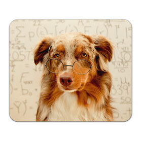 Коврик прямоугольный с принтом Собака в очках в Новосибирске, натуральный каучук | размер 230 х 185 мм; запечатка лицевой стороны | домашнее | животное | очки | пес | прикол | собака в очках | умный | ученый
