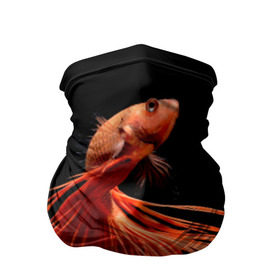 Бандана-труба 3D с принтом Бойцовая рыбка в Новосибирске, 100% полиэстер, ткань с особыми свойствами — Activecool | плотность 150‒180 г/м2; хорошо тянется, но сохраняет форму | аквариумная | бойцовая | красивый | плавники | рыба | рыбка | хвост | япаонская