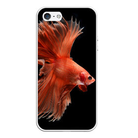 Чехол для iPhone 5/5S матовый с принтом Бойцовая рыбка в Новосибирске, Силикон | Область печати: задняя сторона чехла, без боковых панелей | аквариумная | бойцовая | красивый | плавники | рыба | рыбка | хвост | япаонская