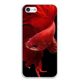 Чехол силиконовый для Телефон Apple iPhone 5/5S с принтом Бойцовая рыбка в Новосибирске, Силикон | Область печати: задняя сторона чехла, без боковых панелей | аквариумная | бойцовая | красивый | плавники | рыба | рыбка | хвост | япаонская