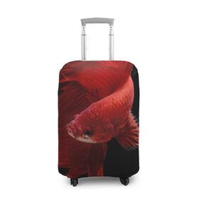 Чехол для чемодана 3D с принтом Бойцовая рыбка в Новосибирске, 86% полиэфир, 14% спандекс | двустороннее нанесение принта, прорези для ручек и колес | аквариумная | бойцовая | красивый | плавники | рыба | рыбка | хвост | япаонская