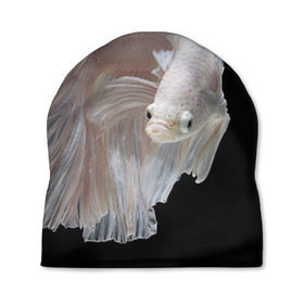 Шапка 3D с принтом Бойцовая рыбка в Новосибирске, 100% полиэстер | универсальный размер, печать по всей поверхности изделия | аквариумная | бойцовая | красивый | плавники | рыба | рыбка | хвост | япаонская