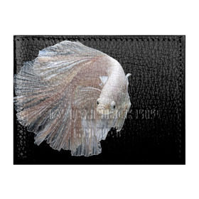 Обложка для студенческого билета с принтом Бойцовая рыбка в Новосибирске, натуральная кожа | Размер: 11*8 см; Печать на всей внешней стороне | Тематика изображения на принте: аквариумная | бойцовая | красивый | плавники | рыба | рыбка | хвост | япаонская