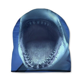 Шапка 3D с принтом Белая акула в Новосибирске, 100% полиэстер | универсальный размер, печать по всей поверхности изделия | shark | море | синий