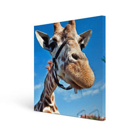 Холст квадратный с принтом Прикольный жираф в Новосибирске, 100% ПВХ |  | африка | животное | жираф | небо | природа