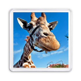Магнит 55*55 с принтом Прикольный жираф в Новосибирске, Пластик | Размер: 65*65 мм; Размер печати: 55*55 мм | Тематика изображения на принте: африка | животное | жираф | небо | природа