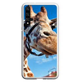 Чехол для Honor 20 с принтом Прикольный жираф в Новосибирске, Силикон | Область печати: задняя сторона чехла, без боковых панелей | Тематика изображения на принте: африка | животное | жираф | небо | природа
