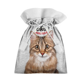 Подарочный 3D мешок с принтом Самая милая в Новосибирске, 100% полиэстер | Размер: 29*39 см | киса | кот | котенок | котик | кошечка | кошка | красивая | милая | самая