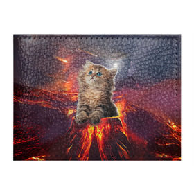 Обложка для студенческого билета с принтом Кот на вулкане в Новосибирске, натуральная кожа | Размер: 11*8 см; Печать на всей внешней стороне | Тематика изображения на принте: вулкан | извержение | кот | котенок | лава | метеорит