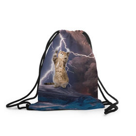 Рюкзак-мешок 3D с принтом Кот и молния в Новосибирске, 100% полиэстер | плотность ткани — 200 г/м2, размер — 35 х 45 см; лямки — толстые шнурки, застежка на шнуровке, без карманов и подкладки | буря | гроза | кот | котенок | молния | облака
