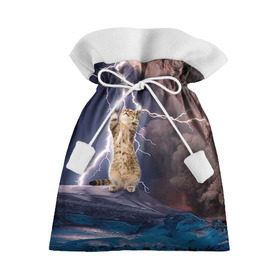 Подарочный 3D мешок с принтом Кот и молния в Новосибирске, 100% полиэстер | Размер: 29*39 см | Тематика изображения на принте: буря | гроза | кот | котенок | молния | облака