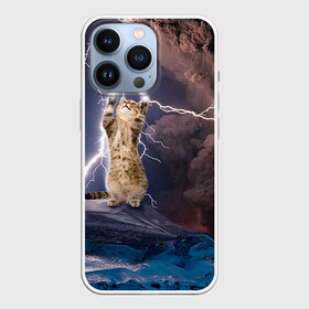 Чехол для iPhone 13 Pro с принтом Кот и молния в Новосибирске,  |  | буря | гроза | кот | котенок | молния | облака
