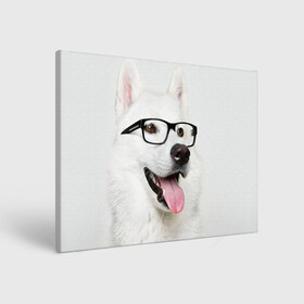 Холст прямоугольный с принтом Собака в очках в Новосибирске, 100% ПВХ |  | домашнее | животное | очки | пес | прикол | собака в очках | умный | ученый