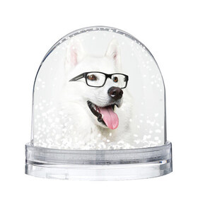 Водяной шар с принтом Собака в очках в Новосибирске, Пластик | Изображение внутри шара печатается на глянцевой фотобумаге с двух сторон | домашнее | животное | очки | пес | прикол | собака в очках | умный | ученый