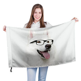 Флаг 3D с принтом Собака в очках в Новосибирске, 100% полиэстер | плотность ткани — 95 г/м2, размер — 67 х 109 см. Принт наносится с одной стороны | домашнее | животное | очки | пес | прикол | собака в очках | умный | ученый