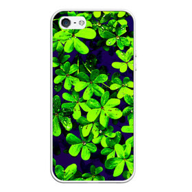 Чехол силиконовый для Телефон Apple iPhone 5/5S с принтом Цветы в Новосибирске, Силикон | Область печати: задняя сторона чехла, без боковых панелей | Тематика изображения на принте: flower | весна | лето | природа | тюльпаны