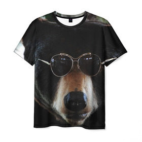 Мужская футболка 3D с принтом Медведь в очках в Новосибирске, 100% полиэфир | прямой крой, круглый вырез горловины, длина до линии бедер | животное | медведь | новая | очки | природа | стильная