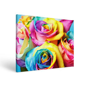 Холст прямоугольный с принтом Радужная роза в Новосибирске, 100% ПВХ |  | Тематика изображения на принте: бутон | лепестки | радуга | радужная роза | спектр | цвет | цветные | яркий