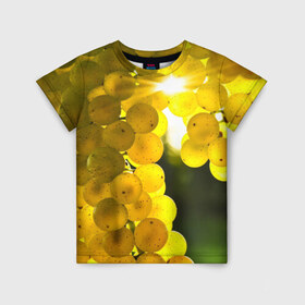 Детская футболка 3D с принтом Виноград в Новосибирске, 100% гипоаллергенный полиэфир | прямой крой, круглый вырез горловины, длина до линии бедер, чуть спущенное плечо, ткань немного тянется | виноград | виноградник | лоза | лучи | солнце | ягоды