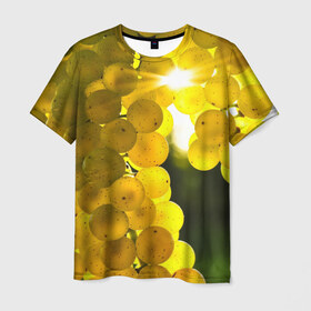 Мужская футболка 3D с принтом Виноград в Новосибирске, 100% полиэфир | прямой крой, круглый вырез горловины, длина до линии бедер | виноград | виноградник | лоза | лучи | солнце | ягоды