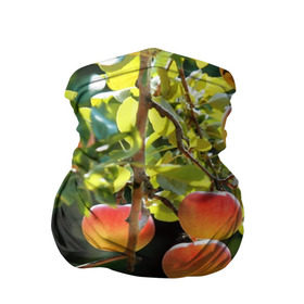 Бандана-труба 3D с принтом Яблоки в Новосибирске, 100% полиэстер, ткань с особыми свойствами — Activecool | плотность 150‒180 г/м2; хорошо тянется, но сохраняет форму | дерево | зелень | красные | сад