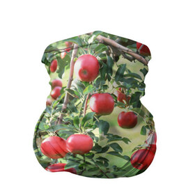 Бандана-труба 3D с принтом Яблоки в Новосибирске, 100% полиэстер, ткань с особыми свойствами — Activecool | плотность 150‒180 г/м2; хорошо тянется, но сохраняет форму | дерево | зелень | красные | сад | яблоки