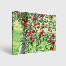 Холст прямоугольный с принтом Яблоки в Новосибирске, 100% ПВХ |  | дерево | зелень | красные | сад | яблоки
