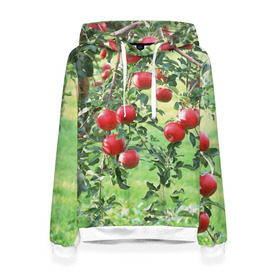 Женская толстовка 3D с принтом Яблоки в Новосибирске, 100% полиэстер  | двухслойный капюшон со шнурком для регулировки, мягкие манжеты на рукавах и по низу толстовки, спереди карман-кенгуру с мягким внутренним слоем. | дерево | зелень | красные | сад | яблоки