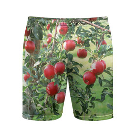 Мужские шорты 3D спортивные с принтом Яблоки в Новосибирске,  |  | дерево | зелень | красные | сад | яблоки