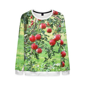 Мужской свитшот 3D с принтом Яблоки в Новосибирске, 100% полиэстер с мягким внутренним слоем | круглый вырез горловины, мягкая резинка на манжетах и поясе, свободная посадка по фигуре | Тематика изображения на принте: дерево | зелень | красные | сад | яблоки