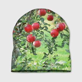 Шапка 3D с принтом Яблоки в Новосибирске, 100% полиэстер | универсальный размер, печать по всей поверхности изделия | дерево | зелень | красные | сад | яблоки