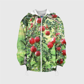 Детская куртка 3D с принтом Яблоки в Новосибирске, 100% полиэстер | застежка — молния, подол и капюшон оформлены резинкой с фиксаторами, по бокам — два кармана без застежек, один потайной карман на груди, плотность верхнего слоя — 90 г/м2; плотность флисового подклада — 260 г/м2 | дерево | зелень | красные | сад | яблоки