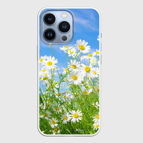 Чехол для iPhone 13 Pro с принтом Ромашки в Новосибирске,  |  | луг | цветы