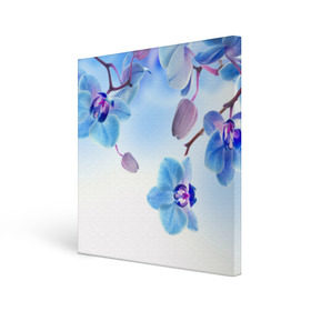 Холст квадратный с принтом Голубая орхидея в Новосибирске, 100% ПВХ |  | голубая орхидея | красота | орхидеи | природа | цветок | цветочек | цветы