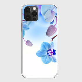 Чехол для iPhone 12 Pro Max с принтом Голубая орхидея в Новосибирске, Силикон |  | Тематика изображения на принте: голубая орхидея | красота | орхидеи | природа | цветок | цветочек | цветы