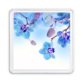 Магнит 55*55 с принтом Голубая орхидея в Новосибирске, Пластик | Размер: 65*65 мм; Размер печати: 55*55 мм | голубая орхидея | красота | орхидеи | природа | цветок | цветочек | цветы