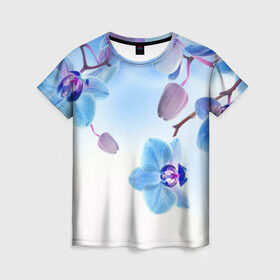 Женская футболка 3D с принтом Голубая орхидея в Новосибирске, 100% полиэфир ( синтетическое хлопкоподобное полотно) | прямой крой, круглый вырез горловины, длина до линии бедер | Тематика изображения на принте: голубая орхидея | красота | орхидеи | природа | цветок | цветочек | цветы