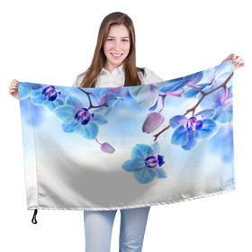 Флаг 3D с принтом Голубая орхидея в Новосибирске, 100% полиэстер | плотность ткани — 95 г/м2, размер — 67 х 109 см. Принт наносится с одной стороны | Тематика изображения на принте: голубая орхидея | красота | орхидеи | природа | цветок | цветочек | цветы