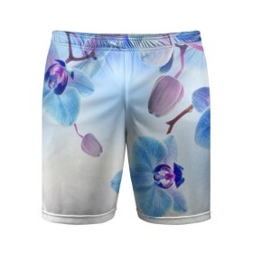 Мужские шорты 3D спортивные с принтом Голубая орхидея в Новосибирске,  |  | голубая орхидея | красота | орхидеи | природа | цветок | цветочек | цветы