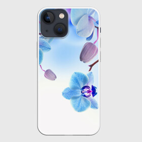 Чехол для iPhone 13 mini с принтом Голубая орхидея в Новосибирске,  |  | голубая орхидея | красота | орхидеи | природа | цветок | цветочек | цветы