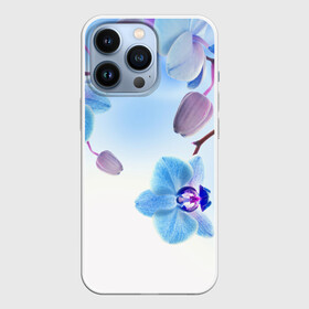 Чехол для iPhone 13 Pro с принтом Голубая орхидея в Новосибирске,  |  | голубая орхидея | красота | орхидеи | природа | цветок | цветочек | цветы